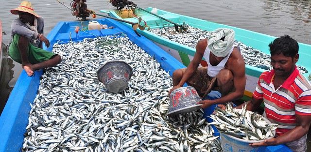 Cabinet approves creation of special fisheries and aquaculture development fund